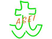 A.S.E.I.